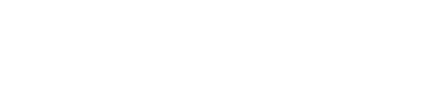 Datavalet